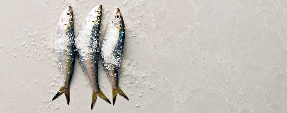 Alpine Mist 5110 - Image 4